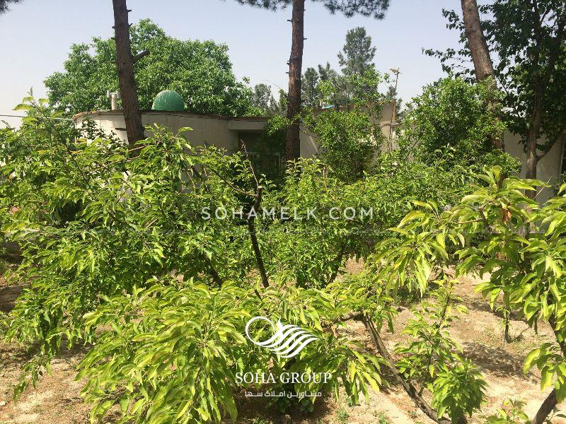 3000 متر باغ ویلا در وحیدیه شهریار