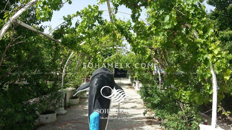 6000 متر باغ ویلا در کردامیر شهریار