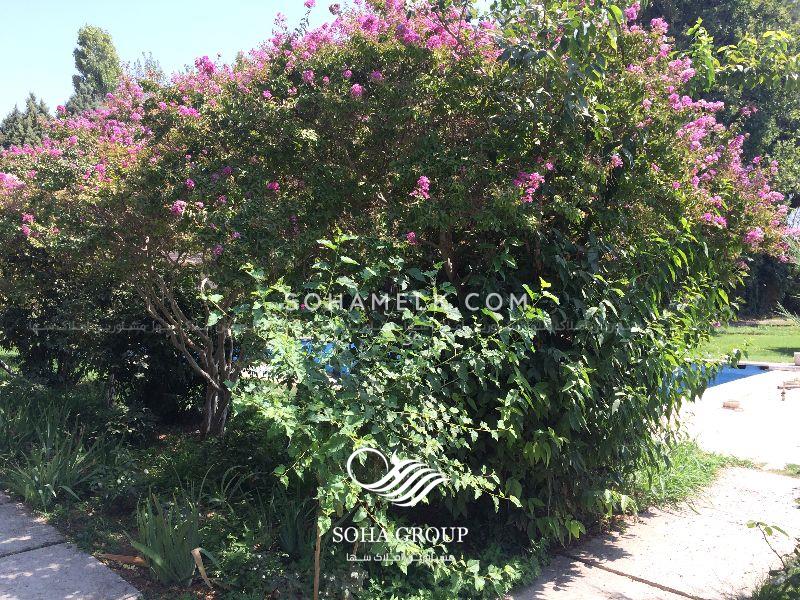 12000 متر باغ ویلا با 400 متر ویلادر شهرک جعفریهشهریار