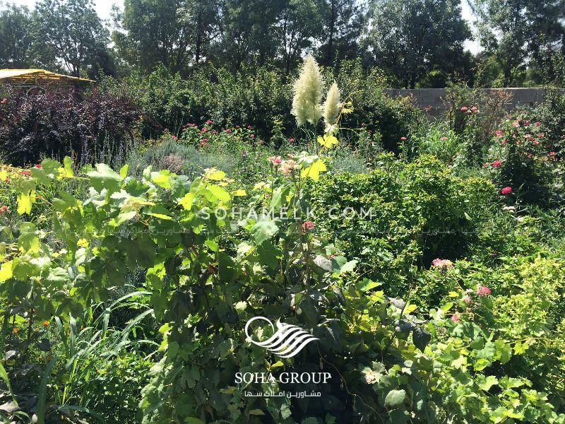 12000 متر باغ ویلا با 400 متر ویلادر شهرک جعفریهشهریار