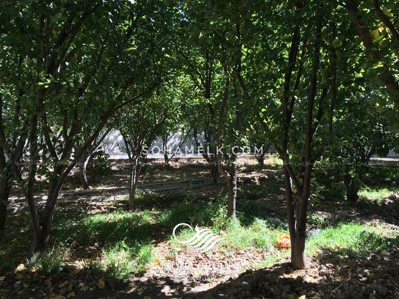 1000 متر باغ ویلا در ابراهیم آباد شهریار