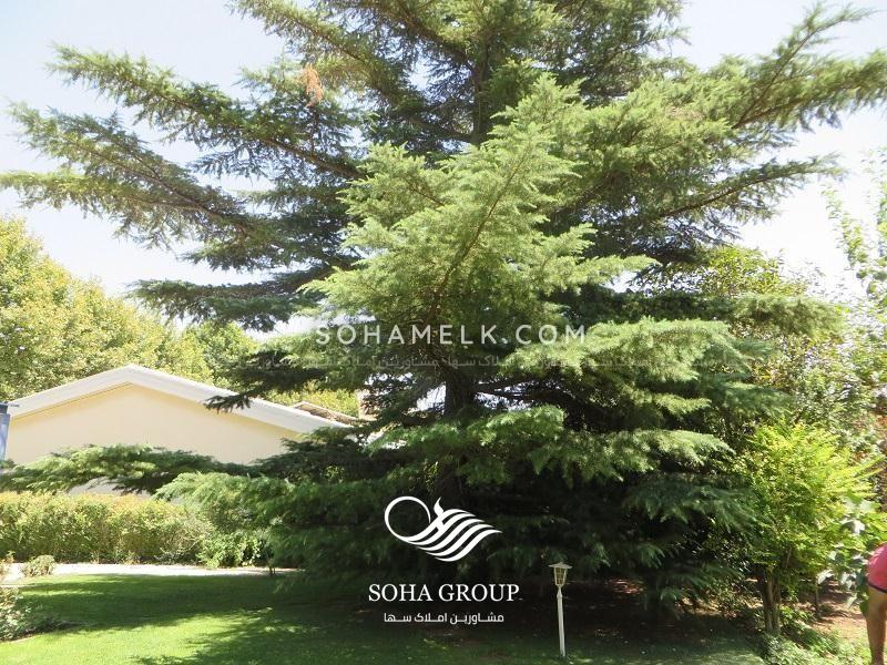 1300 متر باغ ویلا در دهکده فردیس کرج