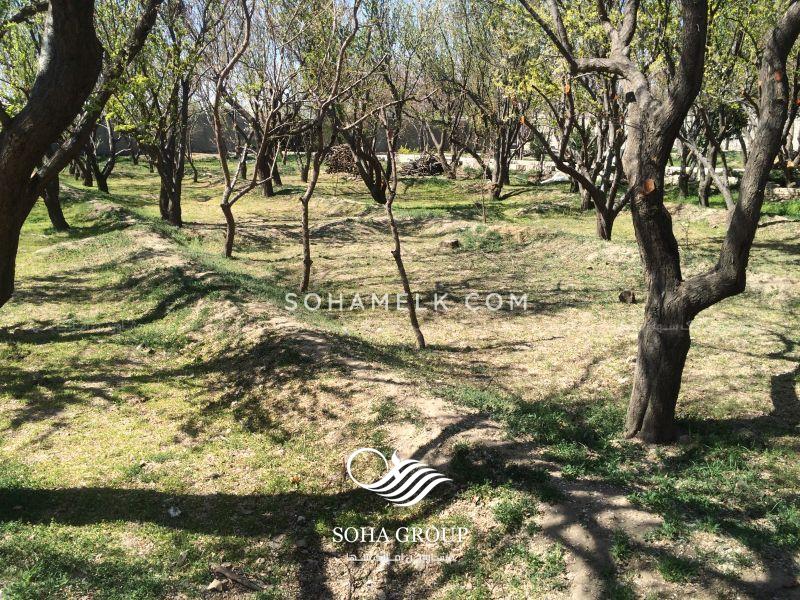 8000 متر باغ ویلا در لم آباد ملارد