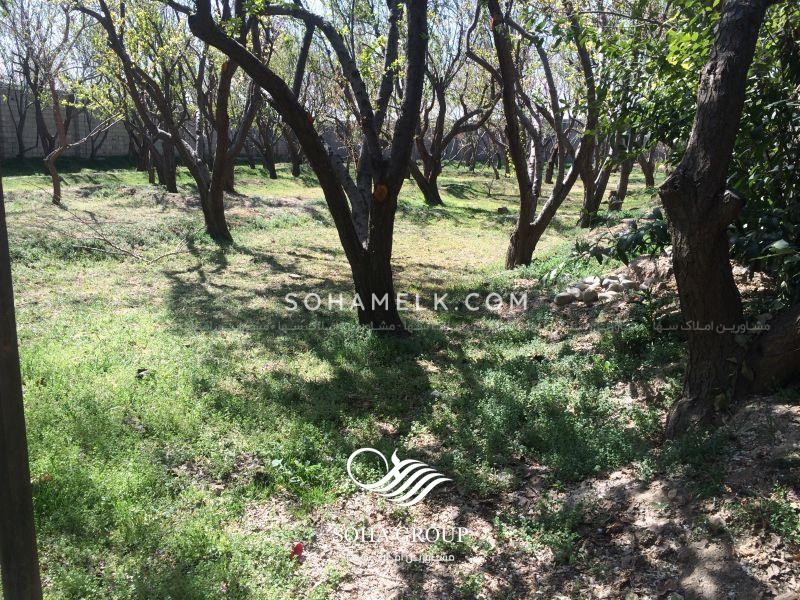 8000 متر باغ ویلا در لم آباد ملارد