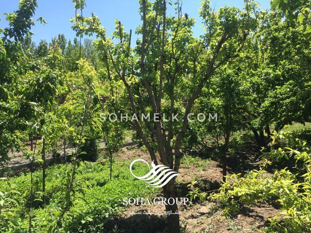 2400 متر باغ ویلا در کوشکک شهریار (خوشنام)