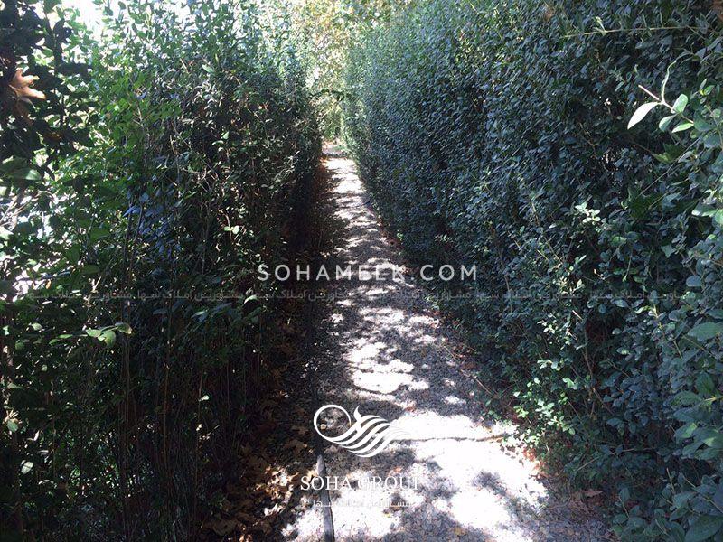 ٣٠٠٠ متر باغ ويلا در دهكده باران