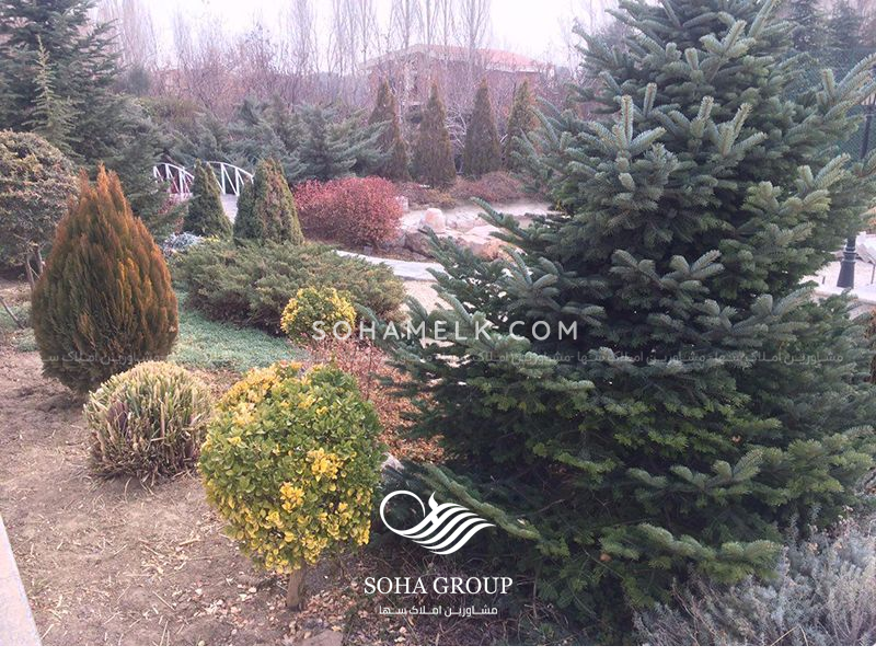 فروش باغ ویلا ی زیبا در زیبادشت