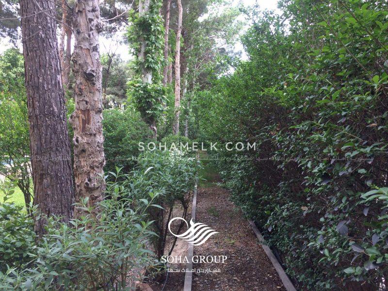 باغ ویلا 2000 متری در زیبا دشت محمد شهر