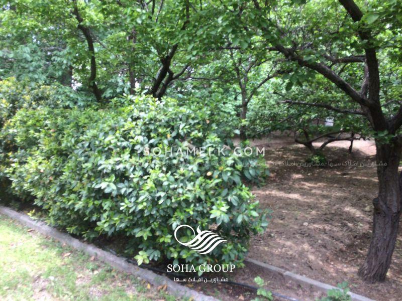 باغ ویلا 2000 متری در زیبا دشت محمد شهر