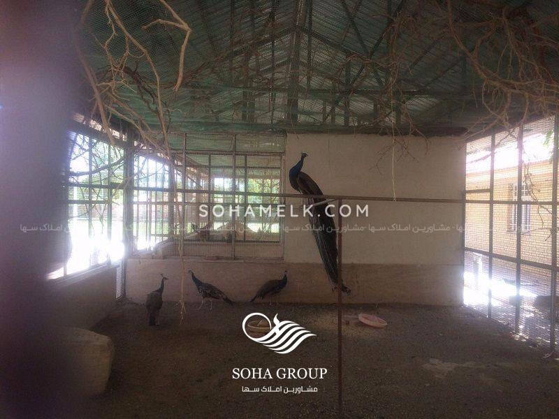 18000متر باغ ویلا ی تریبلکس در محمدشهر