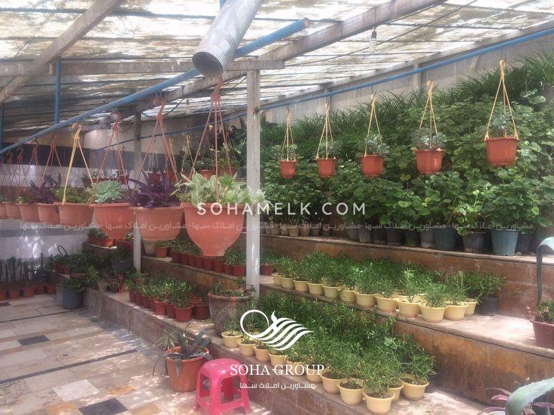 18000متر باغ ویلا ی تریبلکس در محمدشهر