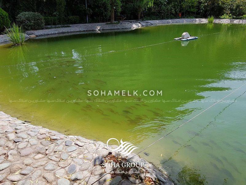 8000متر باغ ویلای رویایی در محمدشهر