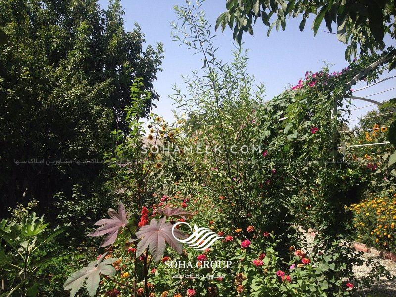 باغ ویلا 1000 متری در محمد شهر