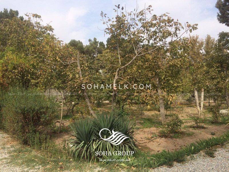 باغ ویلای3000 متری در زیبادشت