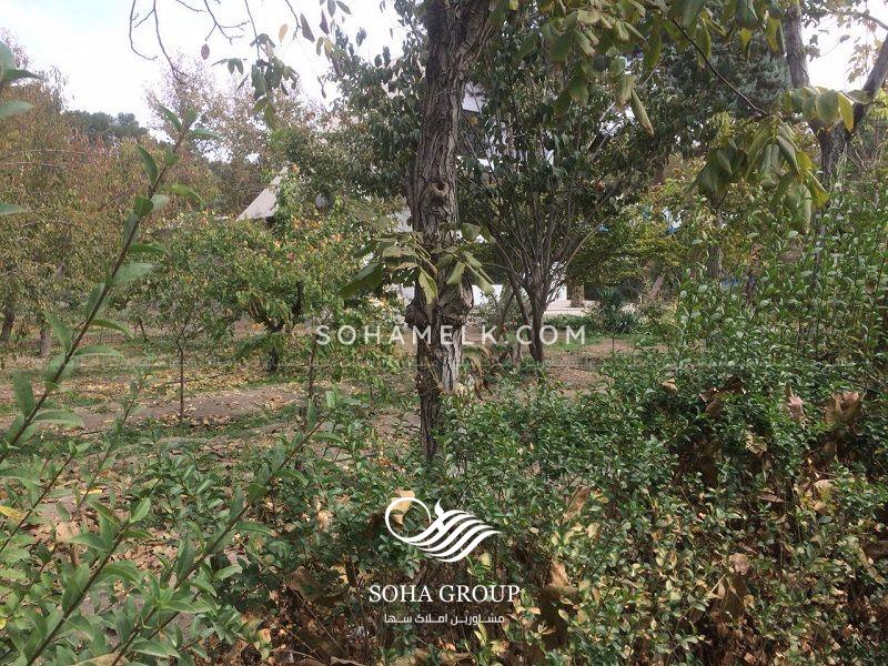 باغ ویلای3000 متری در زیبادشت