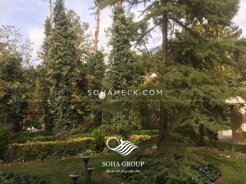 باغ ویلا 7000 متری در زیبا دشت محمد شهر