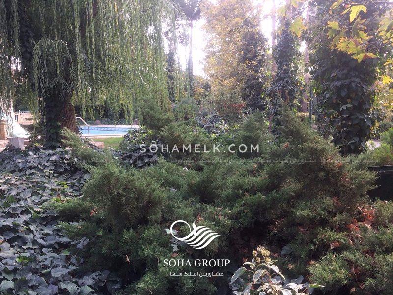 باغ ویلا 7000 متری در زیبا دشت محمد شهر