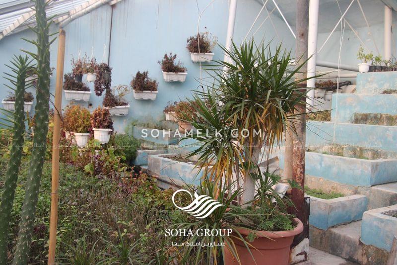 باغ ویلای رویای در قلب محمد شهر