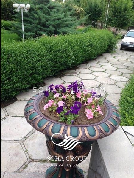 باغ ویلای رویای در قلب محمد شهر