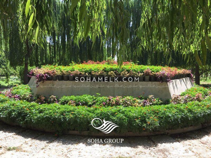 باغ ویلای رویای در قلب محمد شهر