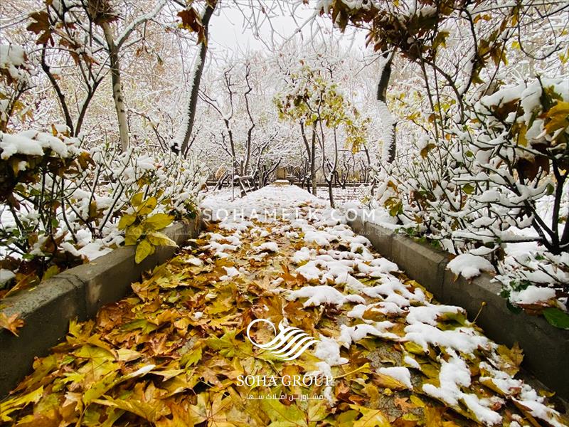 فروش باغ ویلای قدیمی در محمدشهر کرج 