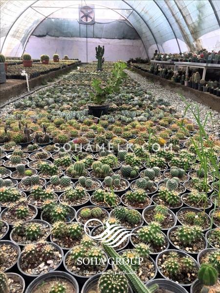 باغ ویلا 1580 متری در مهرچین ملارد