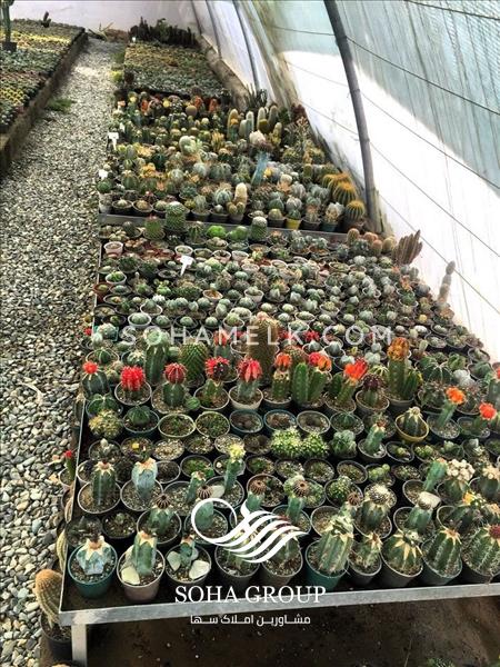 باغ ویلا 1580 متری در مهرچین ملارد