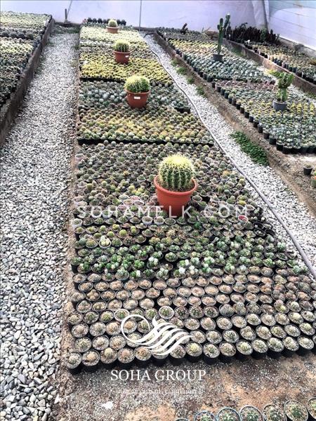 باغ ویلا 1580 متری در مهرچین ملارد