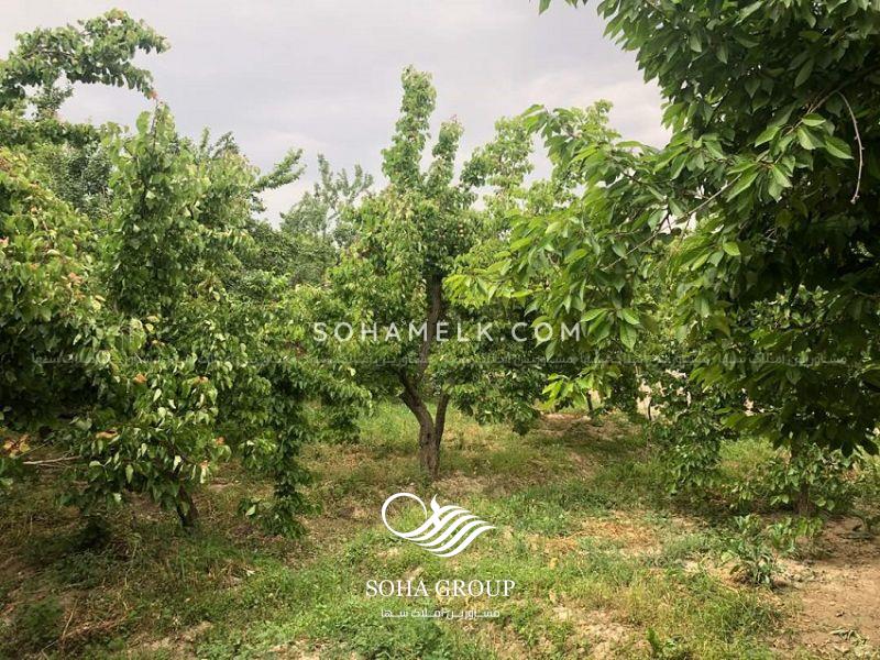 2500 متر باغ ویلا در ملارد منطقه خوشنام