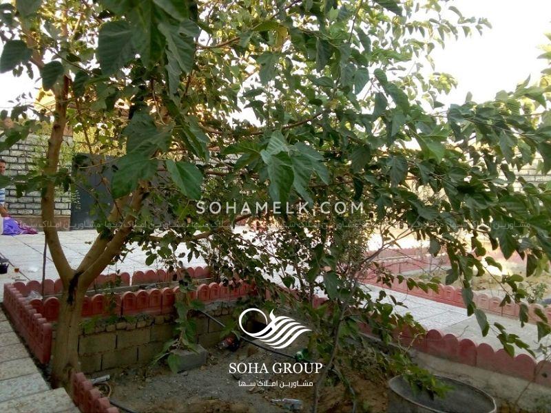 فروش باغ ویلا به متراژ 750 متر در ملارد ویلای جنوبی