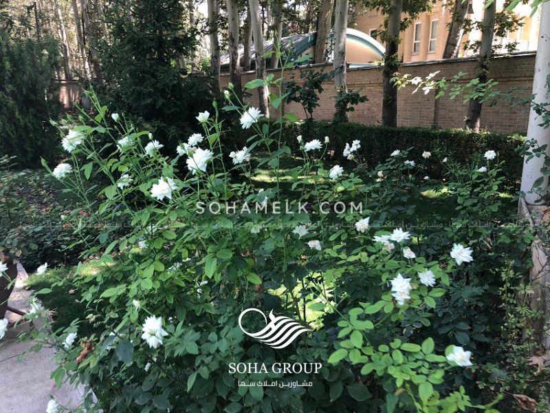 باغ ویلای 2800 متری در محمد شهر