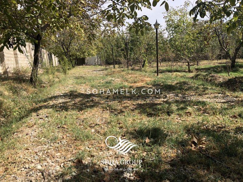 10000 متر باغ ویلای در وحیدیه شهریار