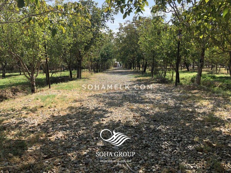 10000 متر باغ ویلای در وحیدیه شهریار