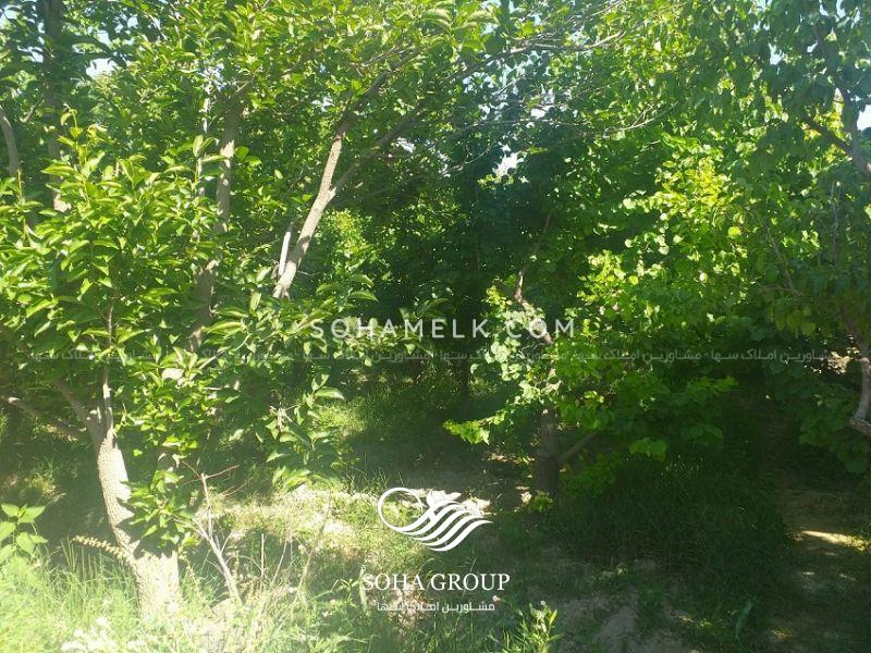 2500 متر باغ ویلا در باغ دشت شهریار