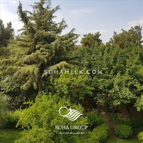 فروش باغ ویلای رویایی و دلنشین به سبک ایرانی در محمد شهر