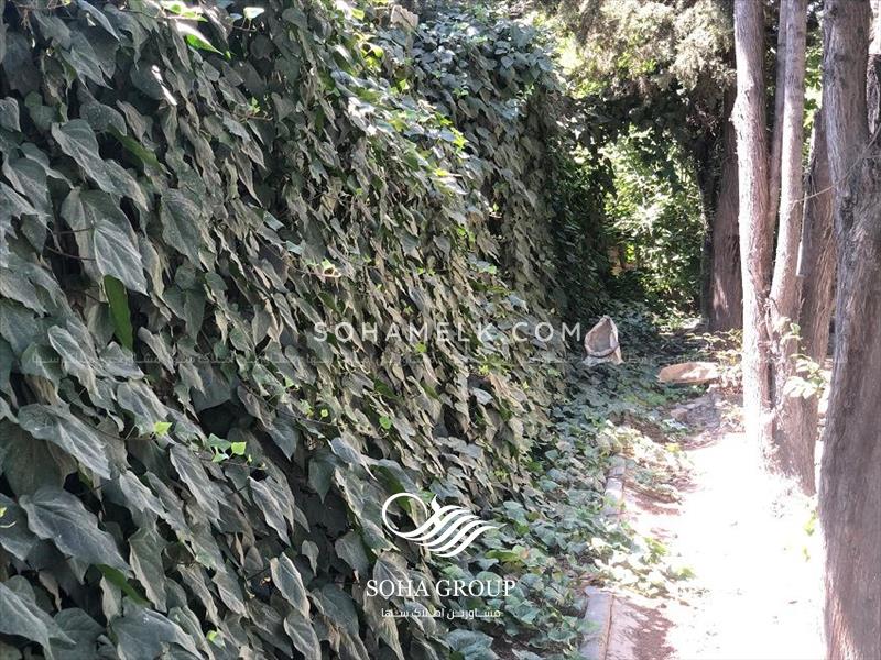 اجاره سالیانه 2400 متر باغ ویلا در محمد شهر