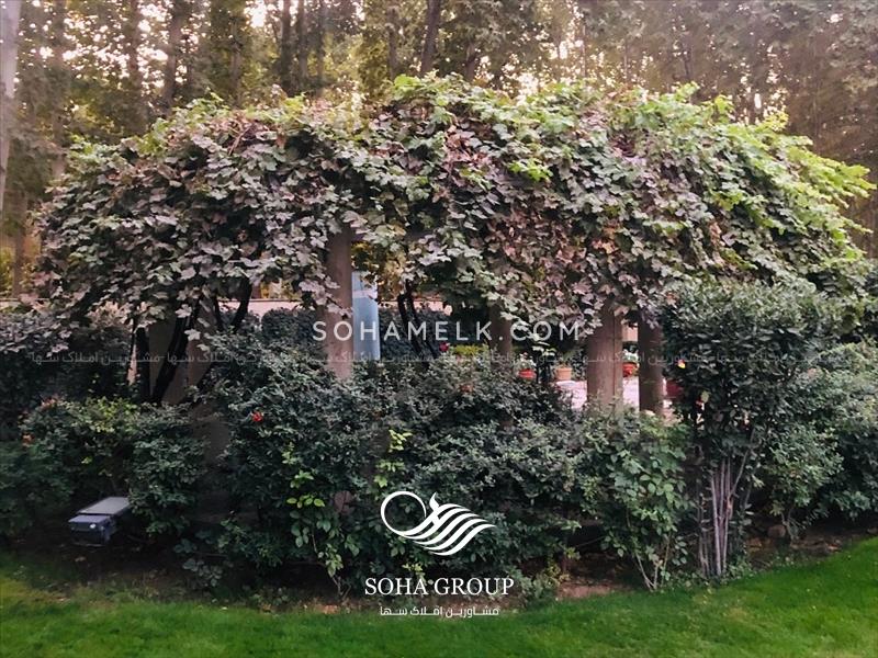 باغ ویلای ایرانی در شهر محمدشهر