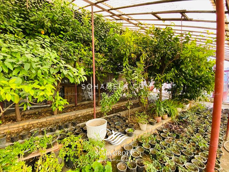 فروش باغ ویلای قدیمی با نامه جهاد کشاورزی در حومه شهر شهریار 
