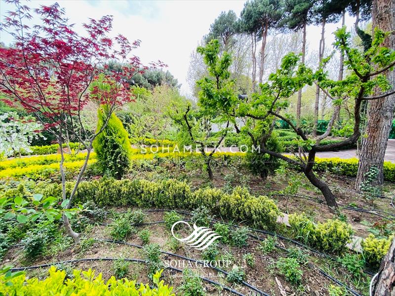 خرید و فروش باغ ویلاهای زیبا در زیبادشت محمدشهر 