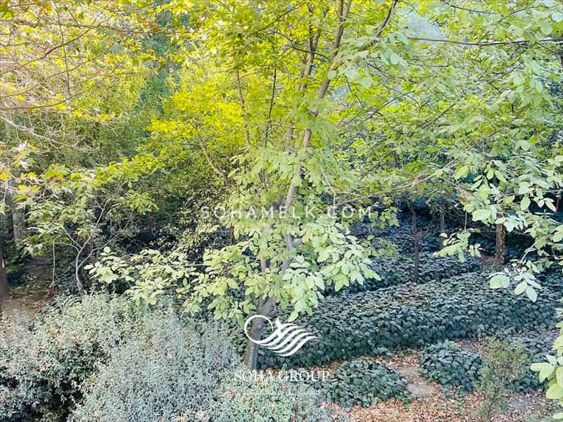 3200 متر باغ ویلای قدیمی و مشجر در خوشنام ملارد 