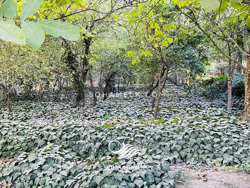 3200 متر باغ ویلای قدیمی و مشجر در خوشنام ملارد 