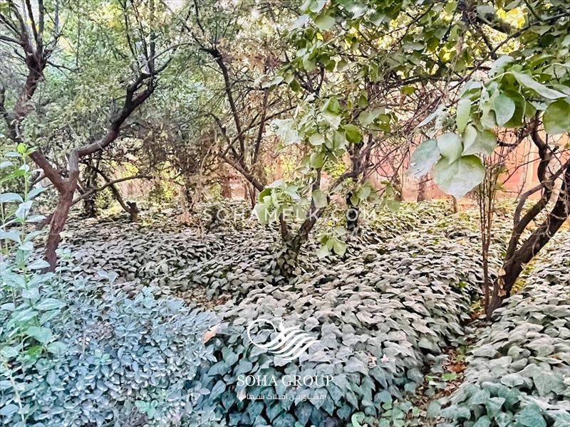 3200 متر باغ ویلای قدیمی و مشجر در خوشنام ملارد 