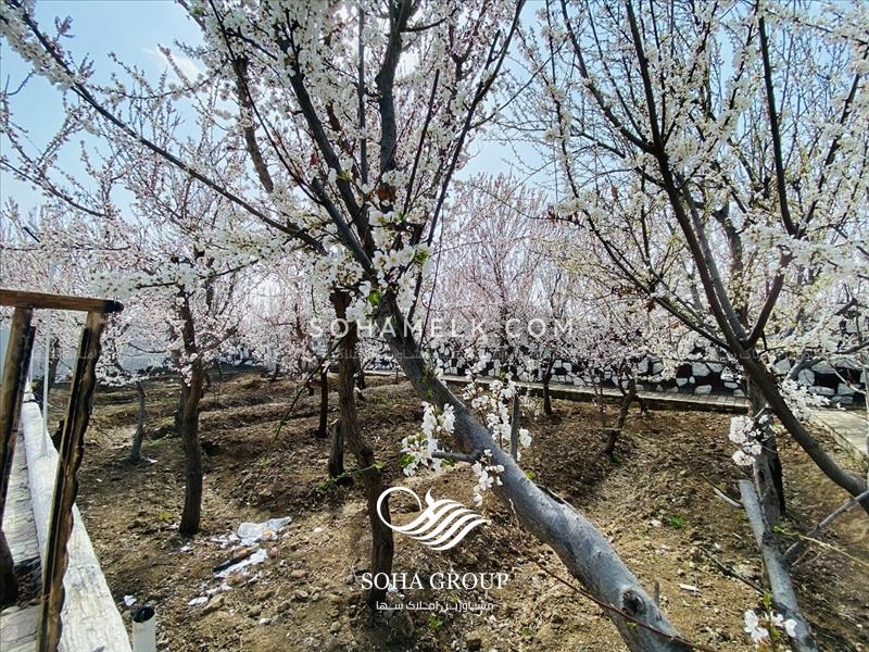 1150 متر باغ ویلای مشجر در کردامیر شهریار 