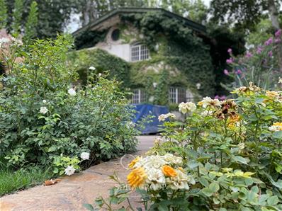 3200متر باغ ویلا فوق العاده زیبا وسرسبز درخوشنام ملارد