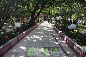 معرفی مناطق  کردامیر و وحیدیه