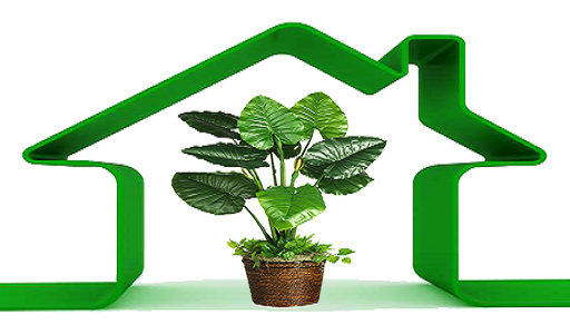 گیاهان تصفیه کننده