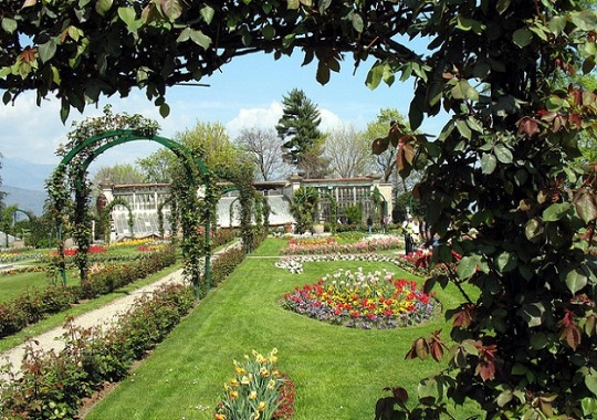 چطور باغی به سبک فرانسوی داشته باشیم؟