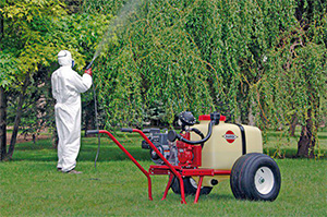 سمپاشی درختان باغ ویلا