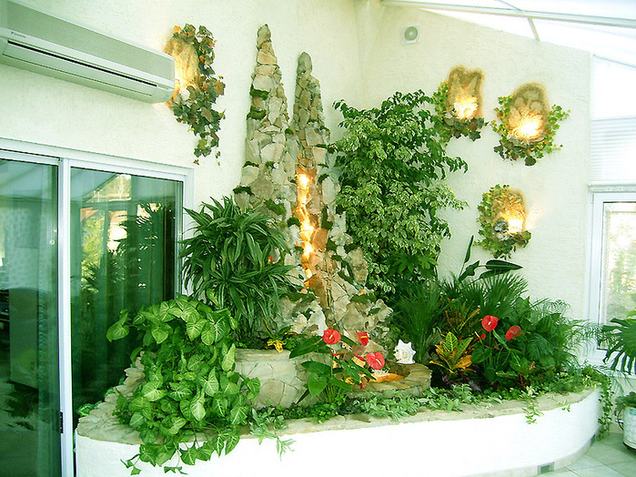 گل های آپارتمانی 