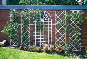 داربست باغی